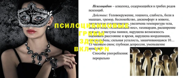 спайс Кулебаки