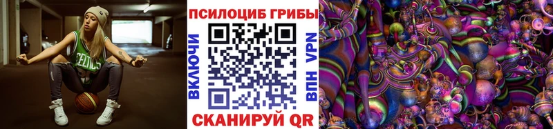 Купить  Мегион  Галлюциногенные грибы GOLDEN TEACHER 
